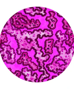 Ripstop By The Roll 1.1 Oz Silpoly - HexCam® Tarps/Shelters