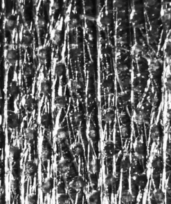 Ripstop By The Roll LiteSkin® LS07 - Full Roll X-Pac®