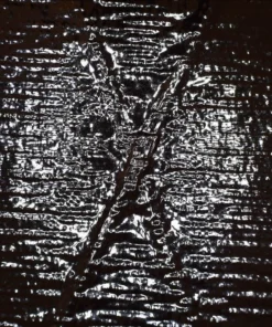 Ripstop By The Roll X-Pac® RX15